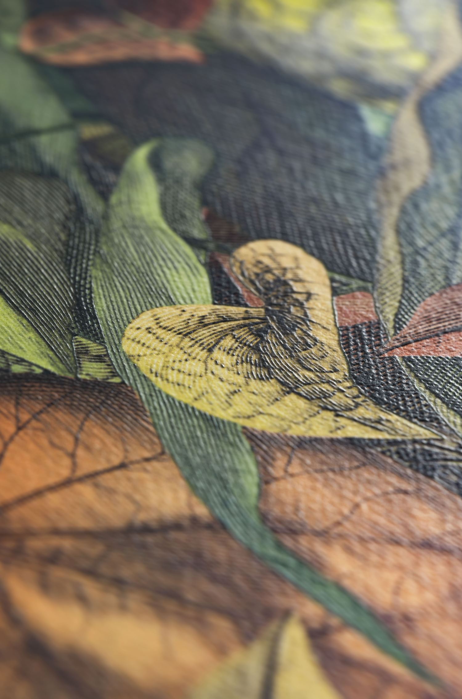 ETRURIA DESIGN - Image 4